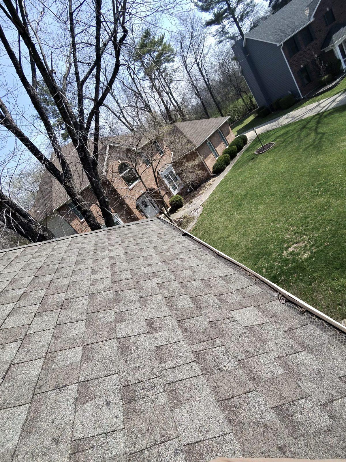 Gutter cleaning — neighborhood roof line