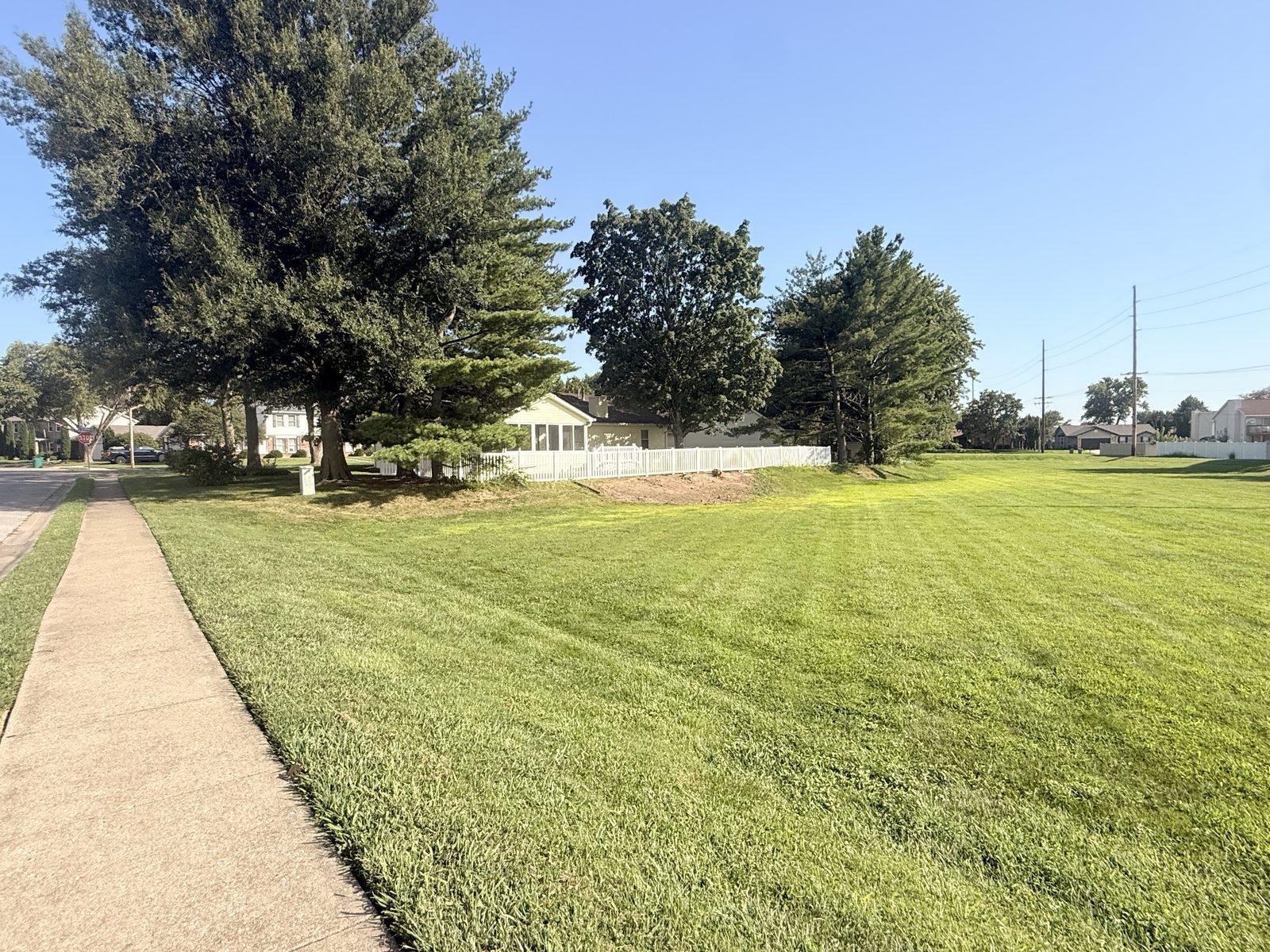 Yard clean-up — front yard and walk (Topclean job)