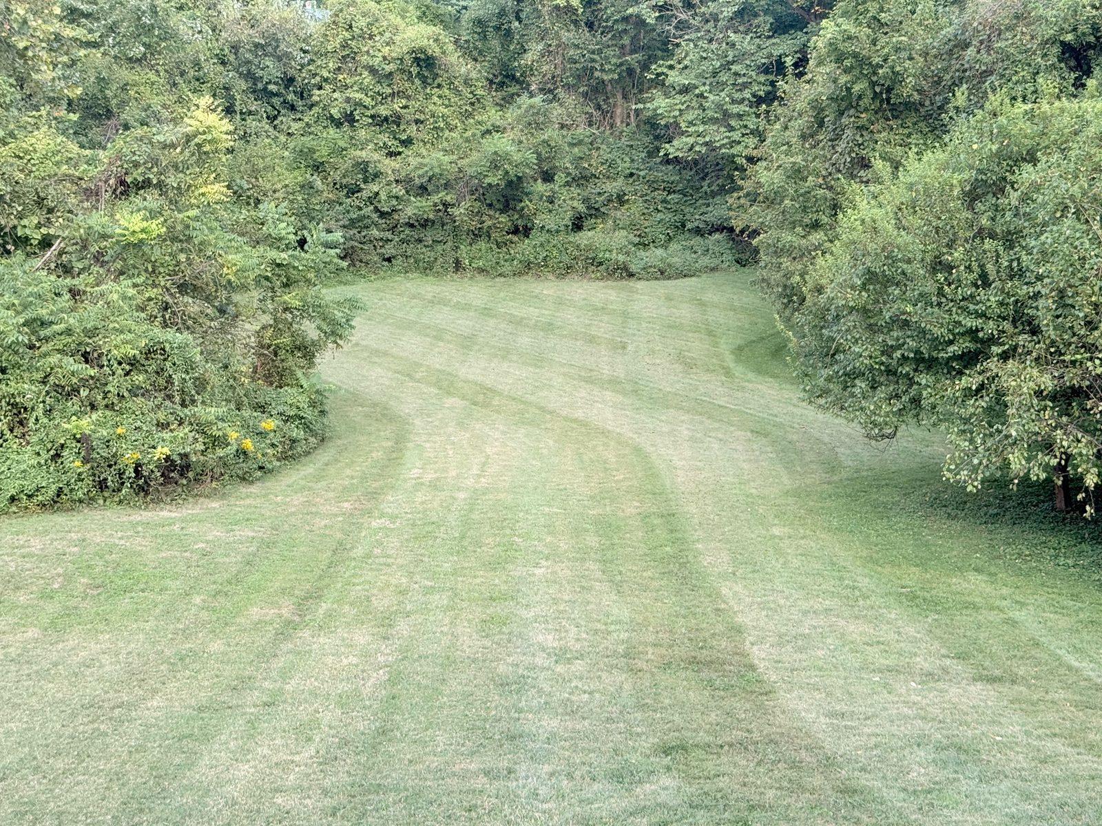 Lawn care — large striped yard