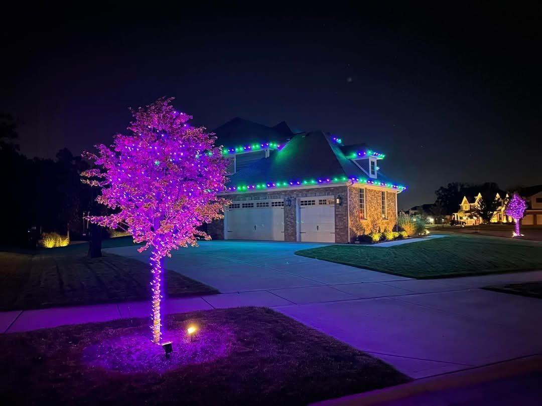 Holiday lights — purple lit tree display
